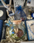 SugarMuses® - The Deluxe Box