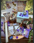 SugarMuses® - The Deluxe Box