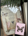 SugarMuses® - The Beltane Sabbat Collection