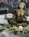 SugarMuses® - The Deluxe Box