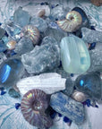 Sea Nymph Crystal Confetti - For Cleansing and Intuition, - SugarMuses