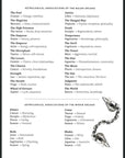 The Antique Anatomy Tarot,  - SugarMuses