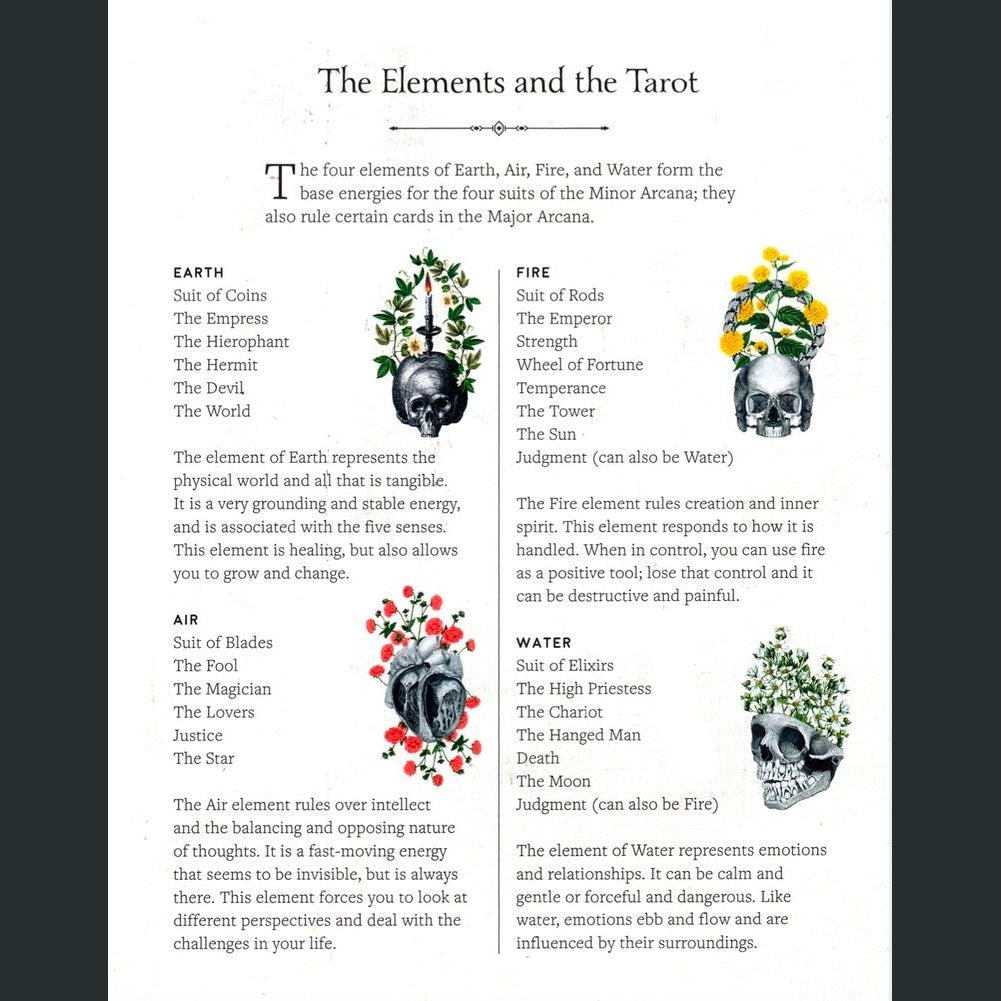 The Antique Anatomy Tarot,  - SugarMuses