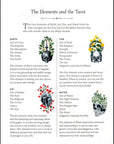 The Antique Anatomy Tarot,  - SugarMuses