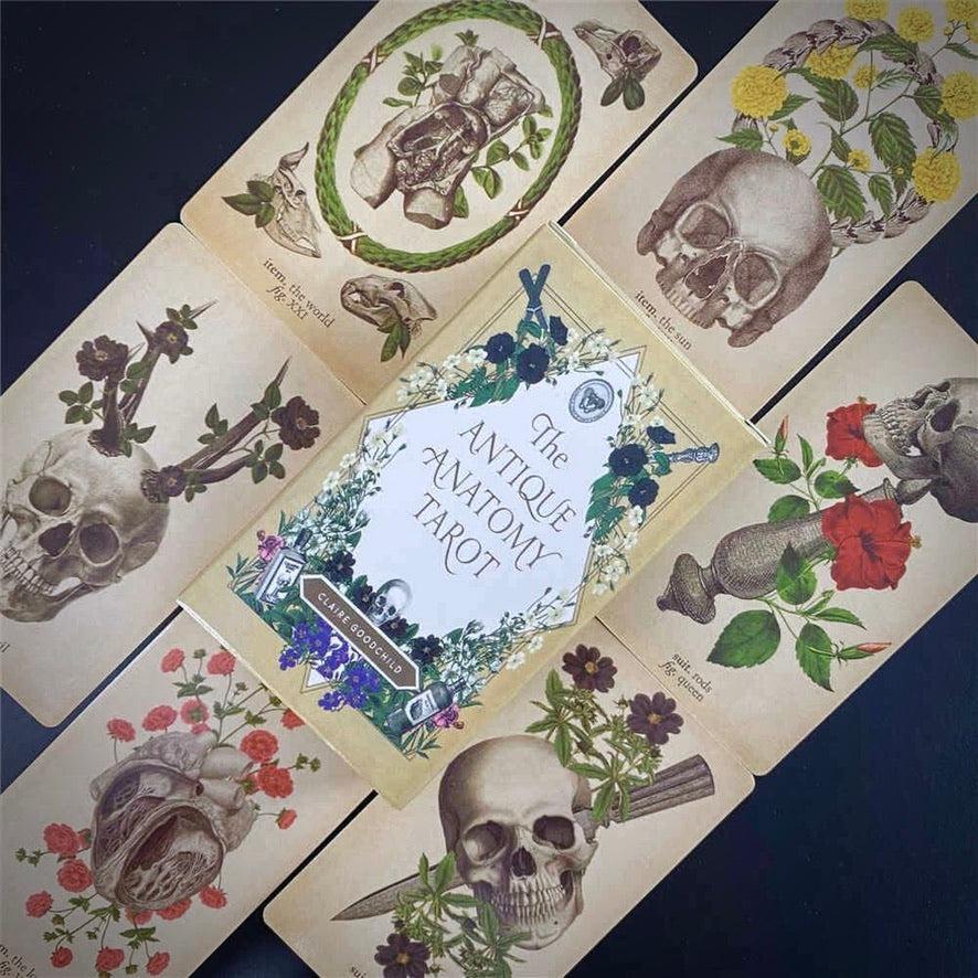 The Antique Anatomy Tarot,  - SugarMuses