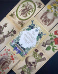 The Antique Anatomy Tarot,  - SugarMuses
