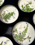 Botanical Candle - Rosemary, Thyme and Cover, Candles - SugarMuses