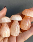 Peach Selenite Mushroom,  - SugarMuses