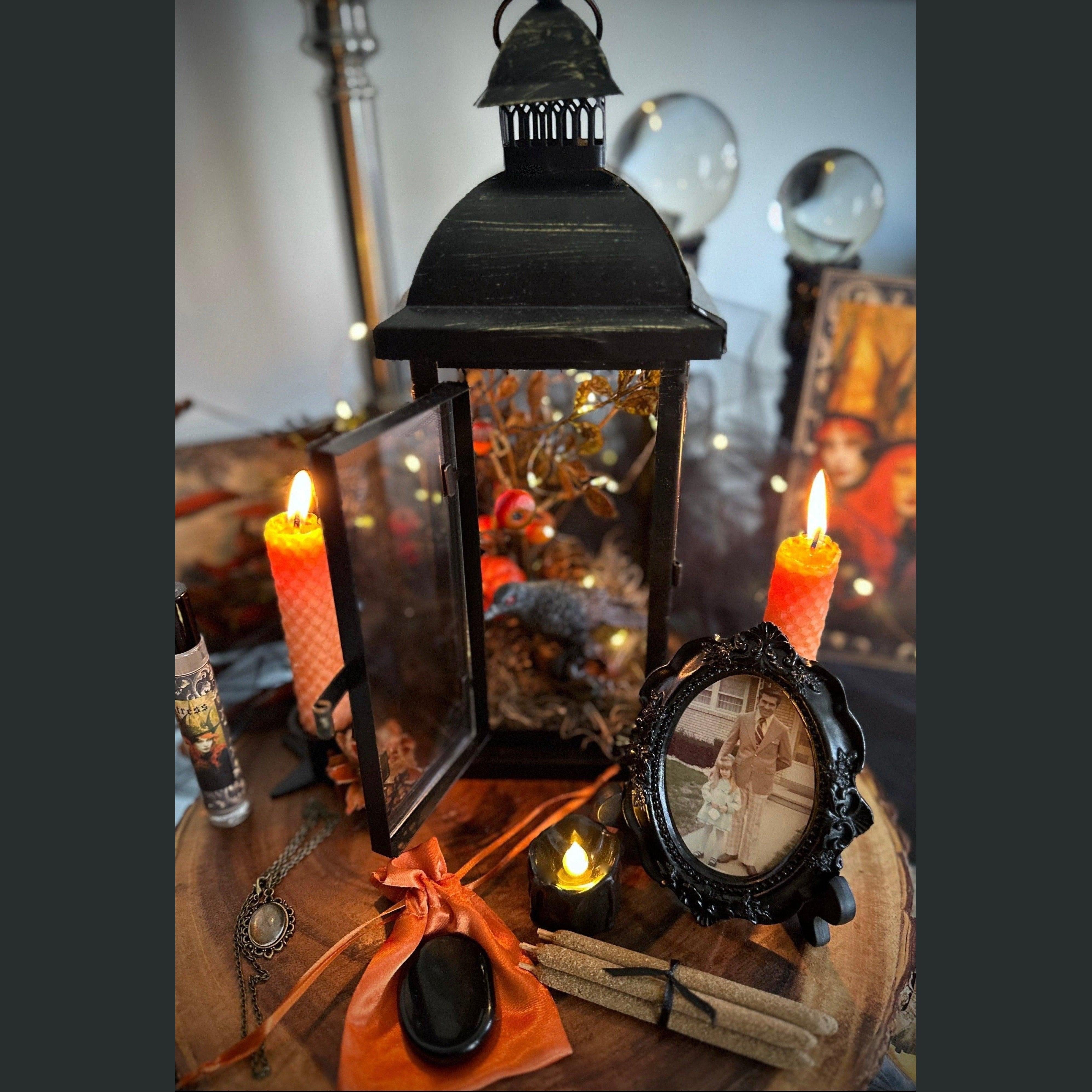 SugarMuses® - The Deluxe Box