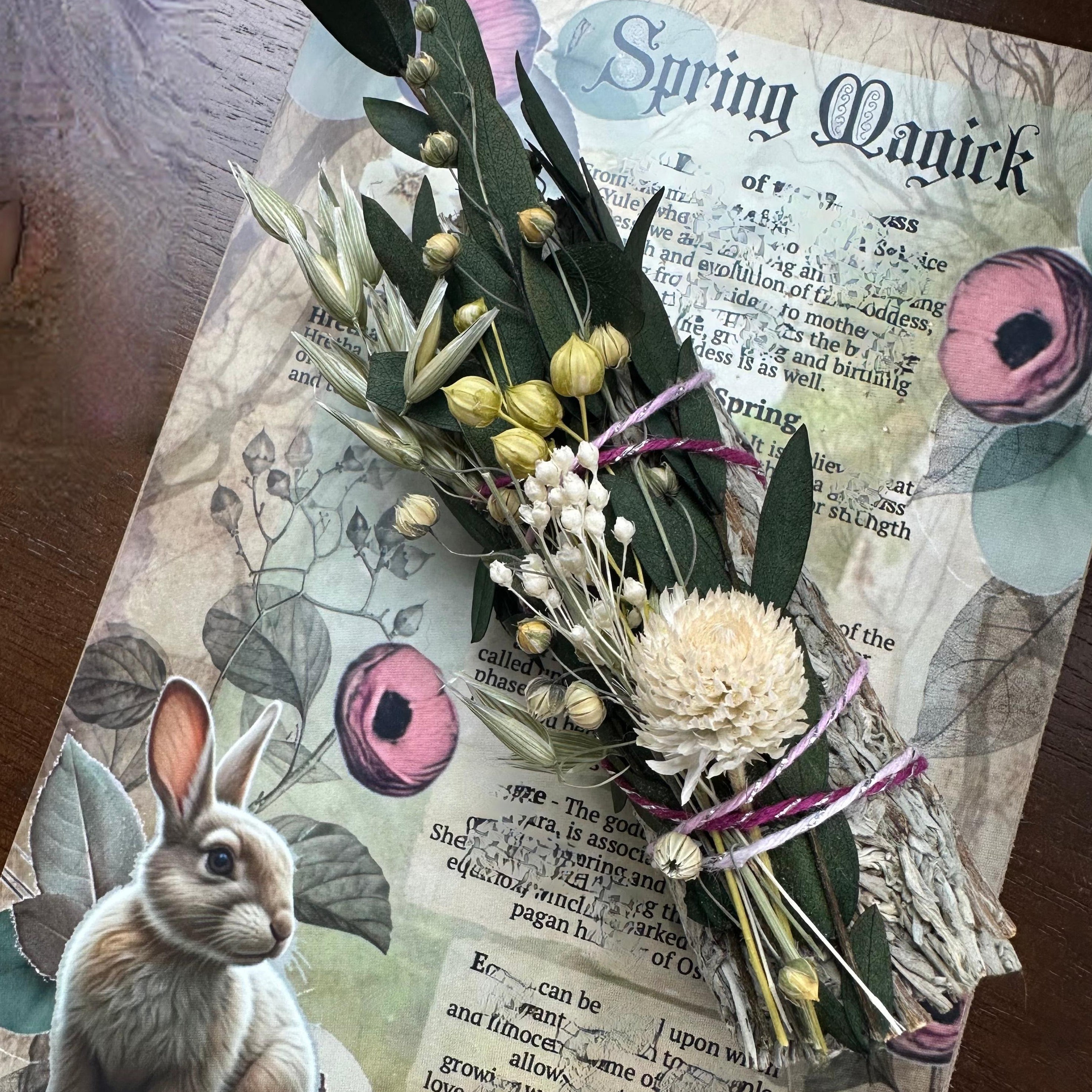 SugarMuses® - The Deluxe Box