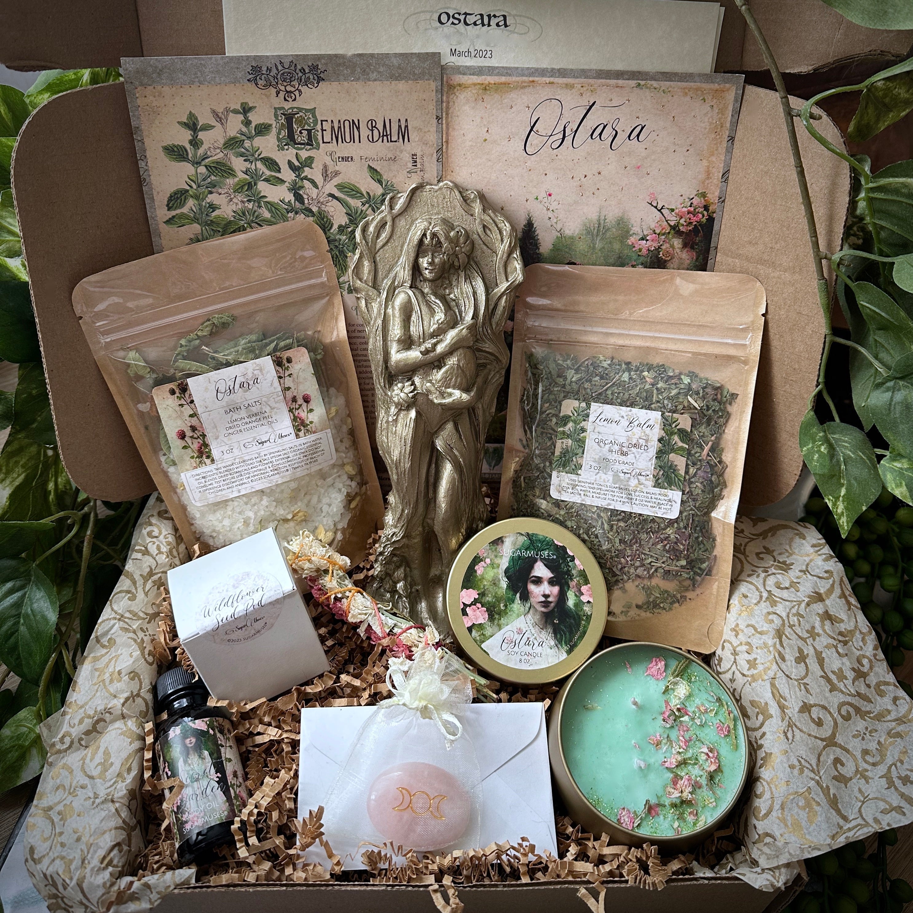 SugarMuses® - The Deluxe Box