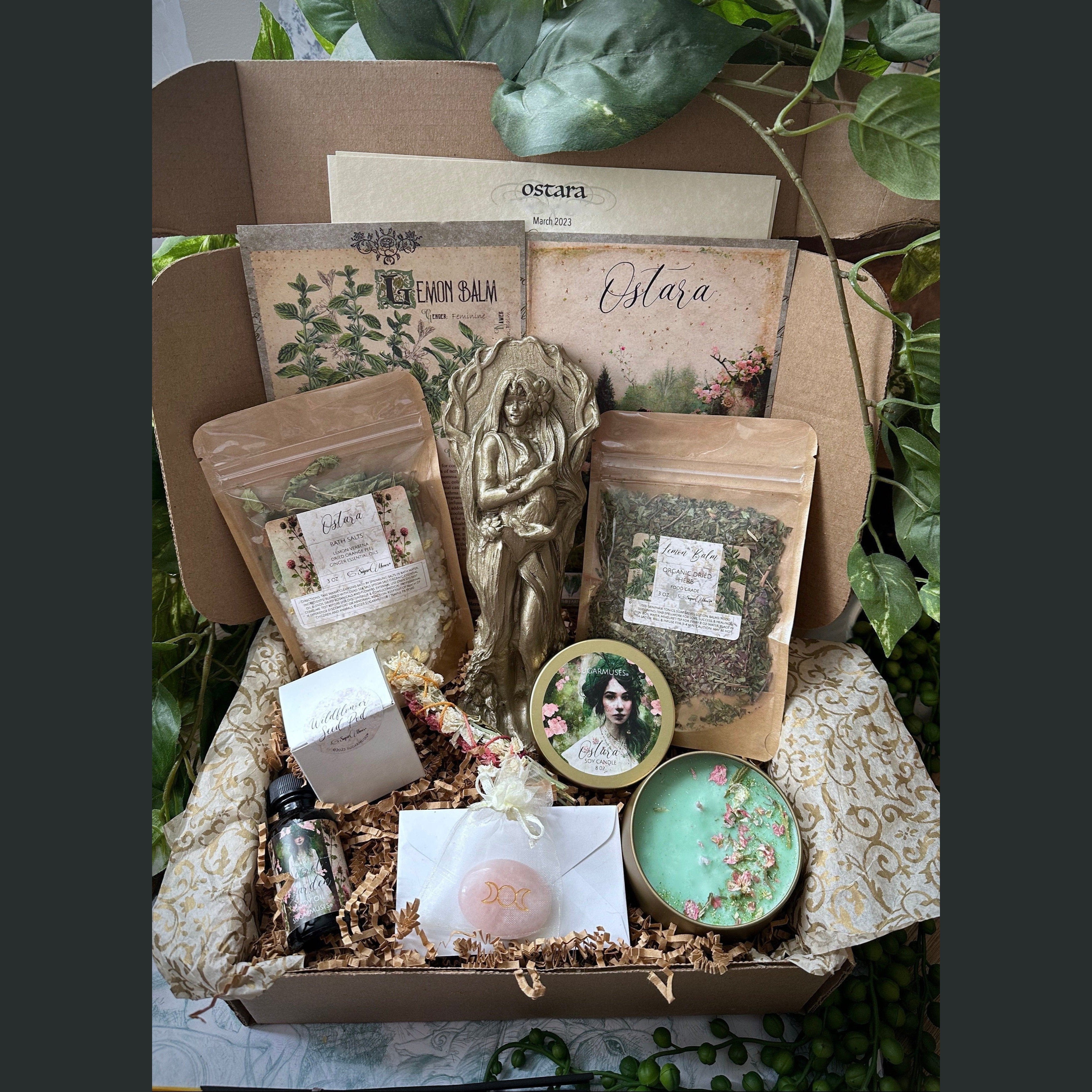 SugarMuses® - The Deluxe Box