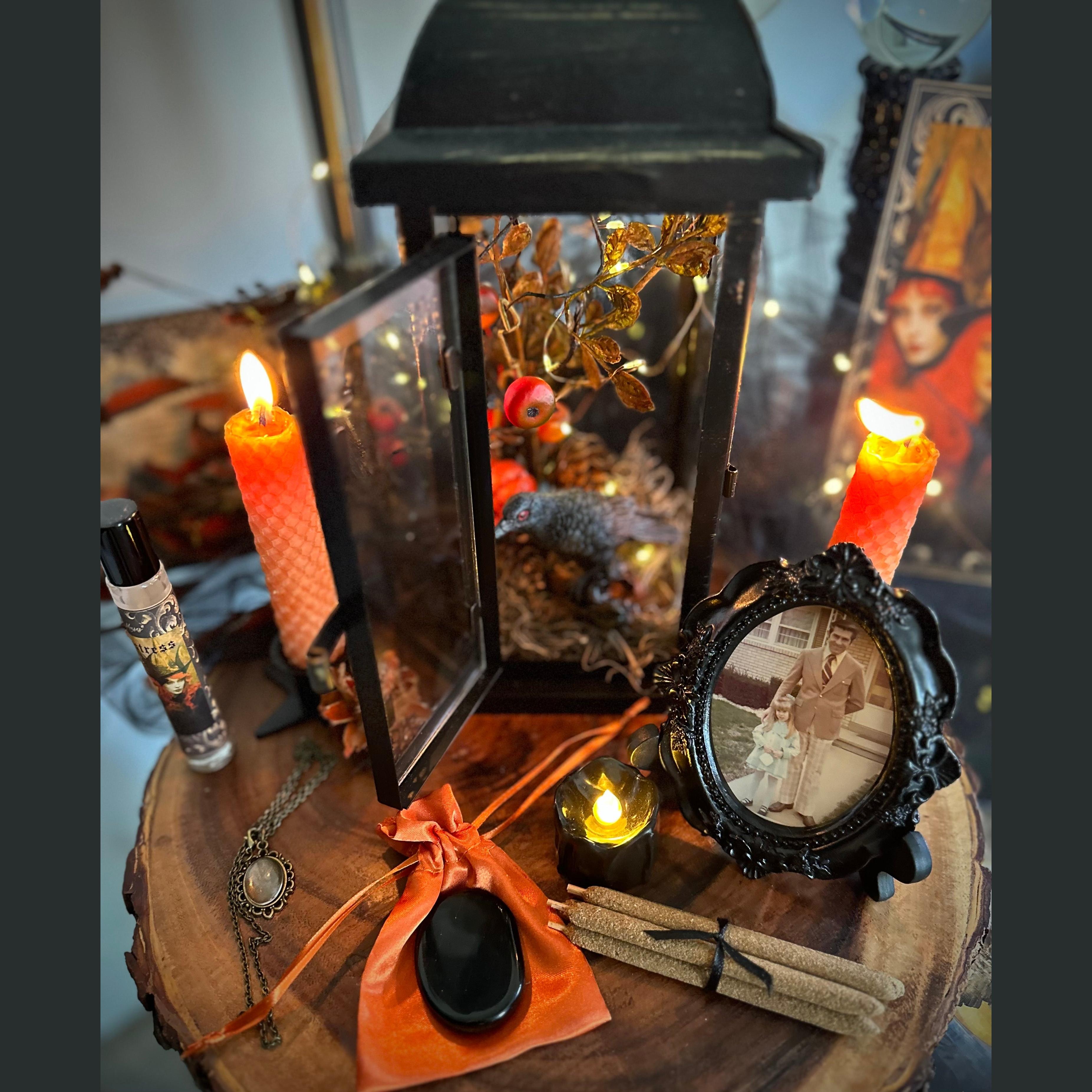 SugarMuses® - The Deluxe Box