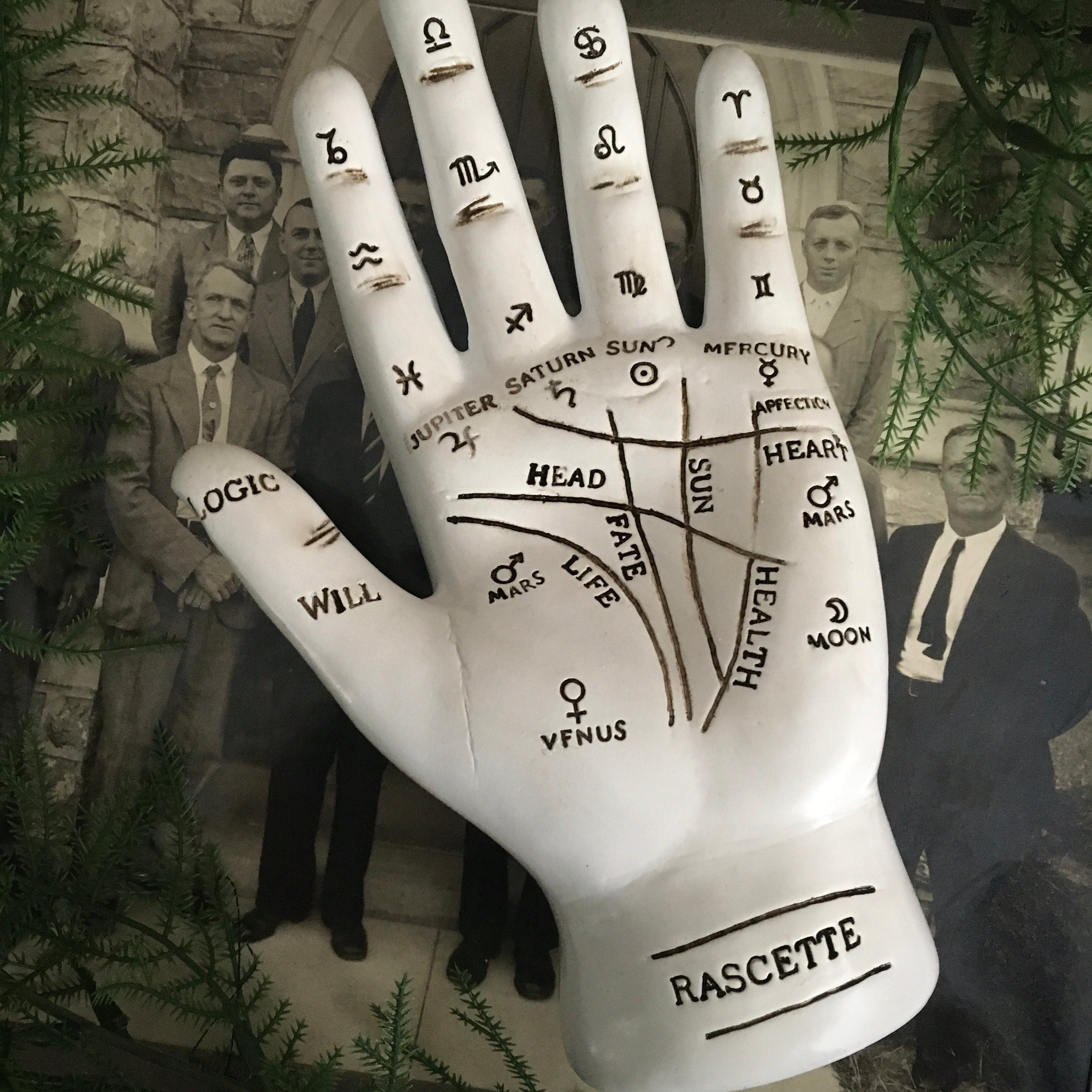 Fortune Teller Palm- White, altar Decor - SugarMuses