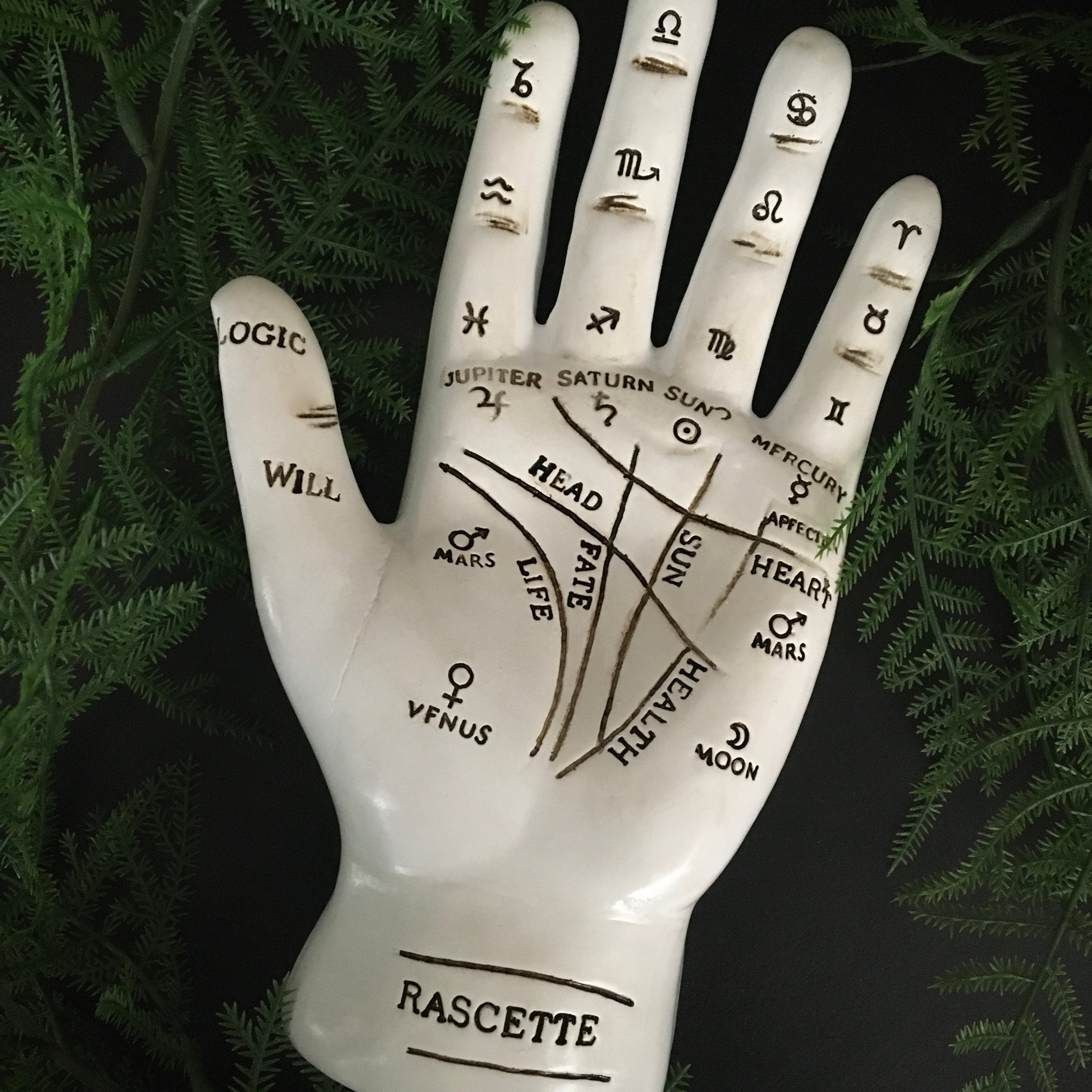 Fortune Teller Palm- White, altar Decor - SugarMuses