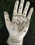 Fortune Teller Palm- White, altar Decor - SugarMuses