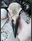Raven Skull Statue - The MidnightMuses Collection, statue - SugarMuses